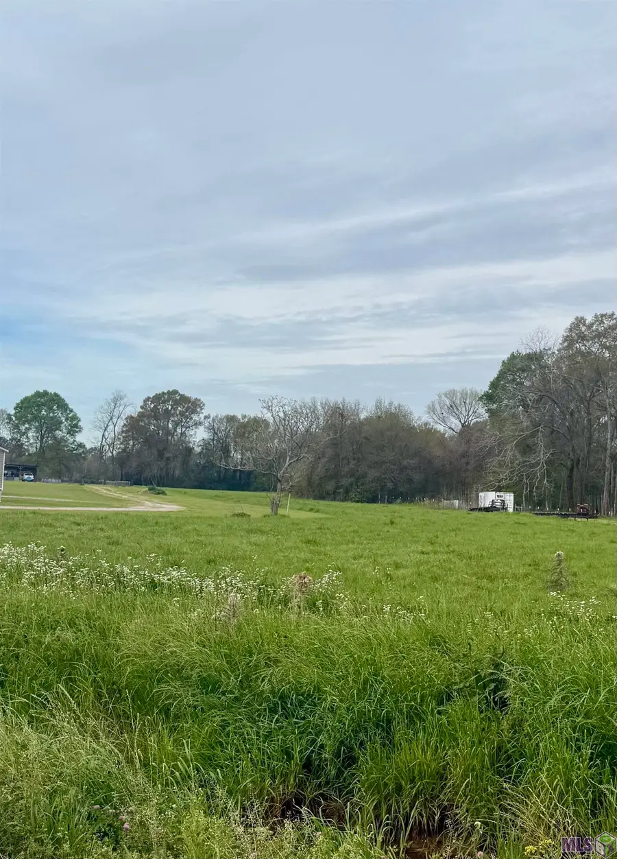 TBD Oakland Rd, Lakeland, LA 70752 - #2