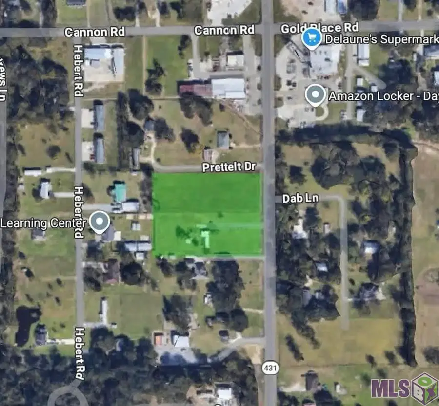 TBA La Hwy 431, Saint Amant, LA 70774 - #2