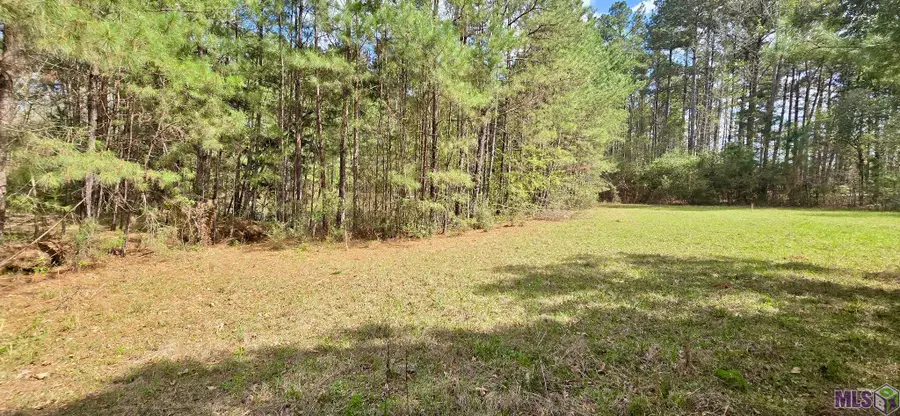 12199 Rouchon Ln, Clinton, LA 70722 - #3