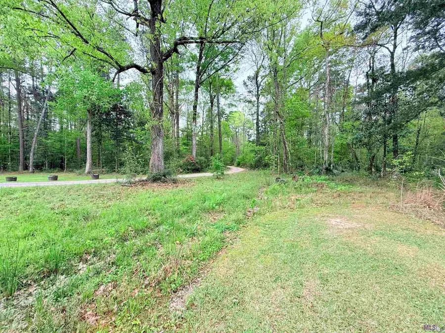 19425 Grantham Rd, Livingston, LA 70754 - #3