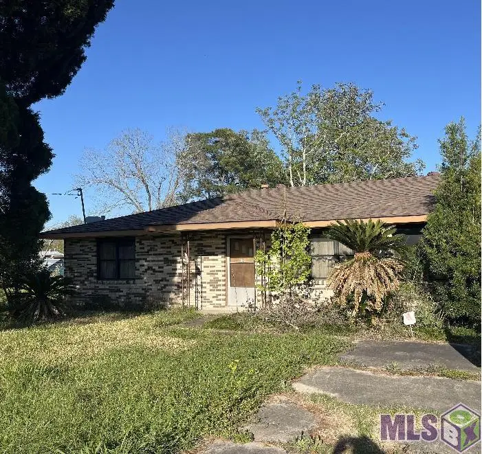 12172 La Hwy 73, Geismar, LA 70734 - #2