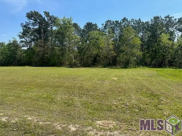 26404 Ponchatoula Dr, Springfield, LA 70449 - #1