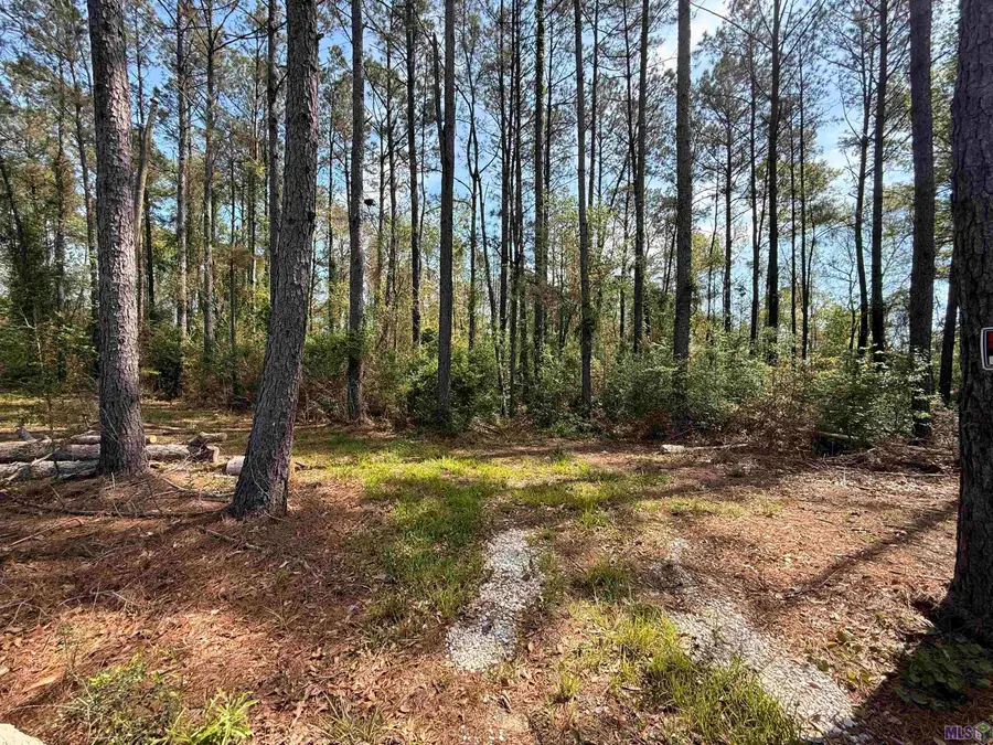 10 Acres H Cologne Rd, Loranger, LA 70446 - #3