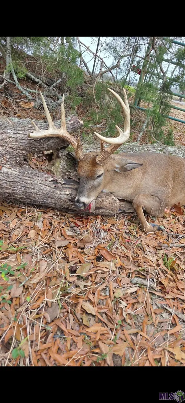 Ellis Ln, Winnsboro, LA 71295