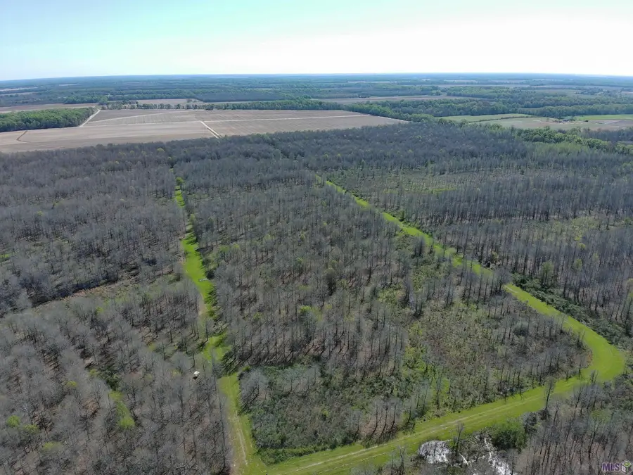 Ellis Ln, Winnsboro, LA 71295 - #2