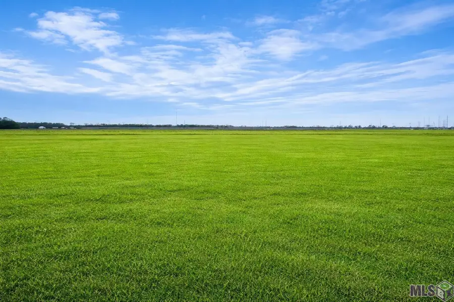 402 Harvest Ln, Port Allen, LA 70767 - #3