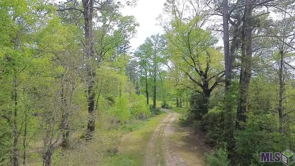 10924 Arnold Rd, Denham Springs, LA 70726