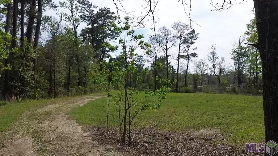 10924 Arnold Rd, Denham Springs, LA 70726 - #3