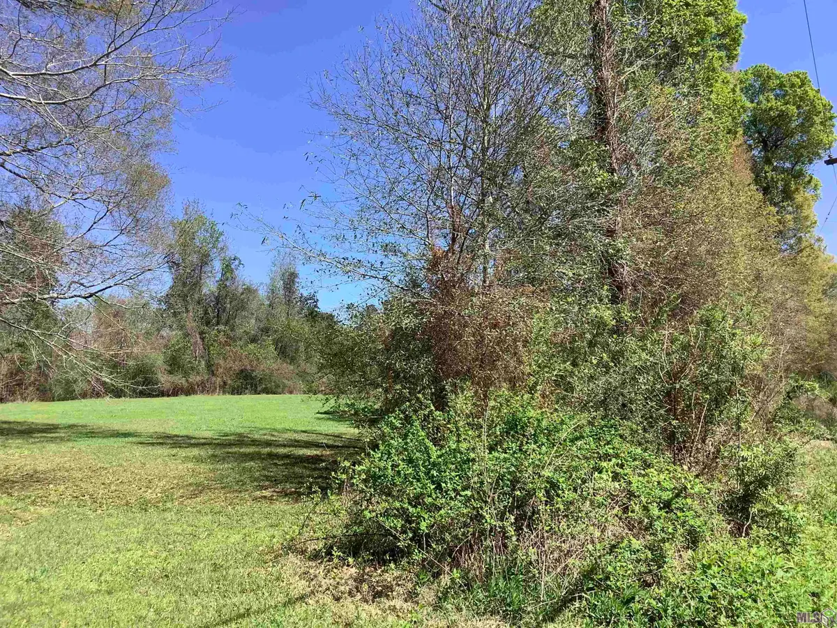 19.4 acres Fountain Young Rd, Pine Grove, LA 70456 - #1