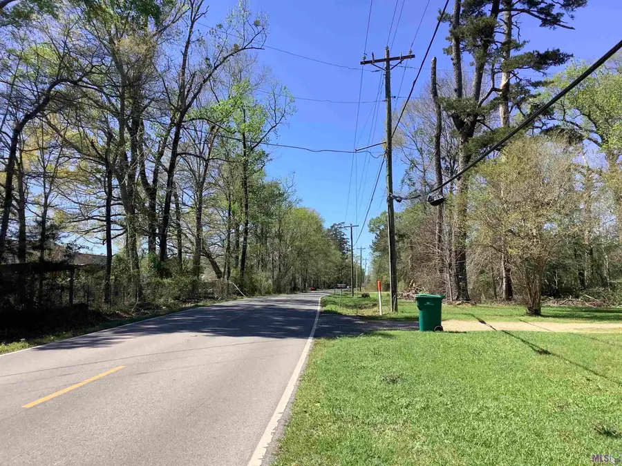 19.4 acres Fountain Young Rd, Pine Grove, LA 70456 - #2