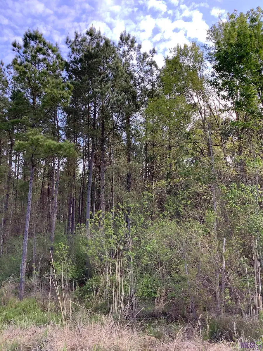 19.4 acres Fountain Young Rd, Pine Grove, LA 70456 - #3
