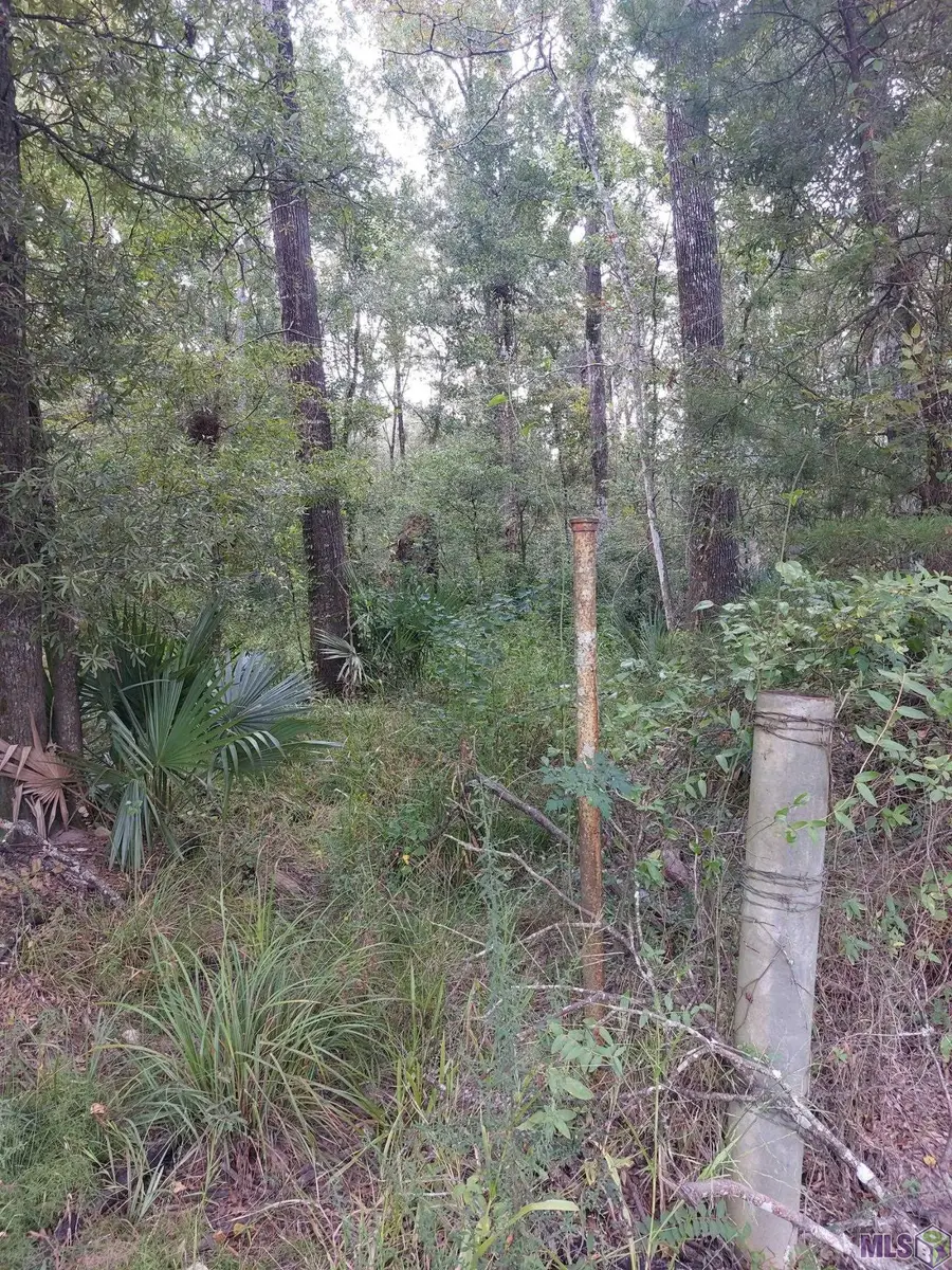 Remington Rd, Denham Springs, LA 70706 - #3