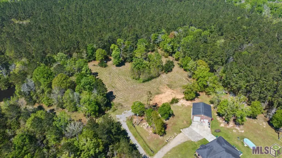 19779 Craig Mack Rd, Walker, LA 70785 - #2