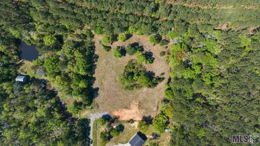 19779 Craig Mack Rd, Walker, LA 70785 - #3