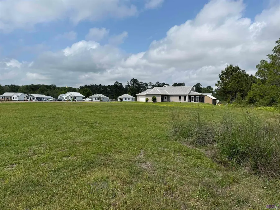 17230 Tchula Dr, Springfield, LA 70462 - #3