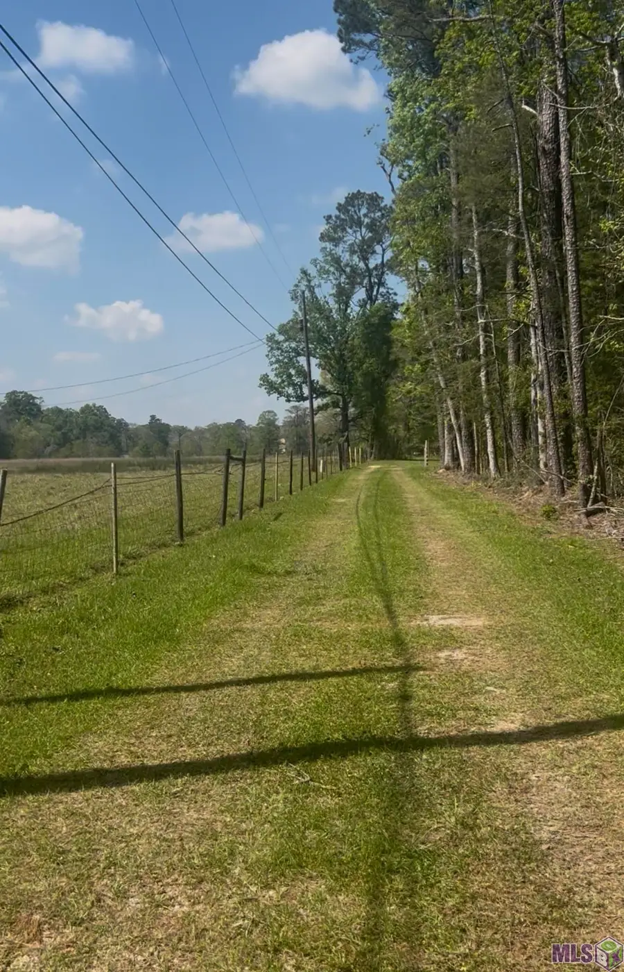 19435 Aydell Ln, French Settlement, LA 70733 - #2