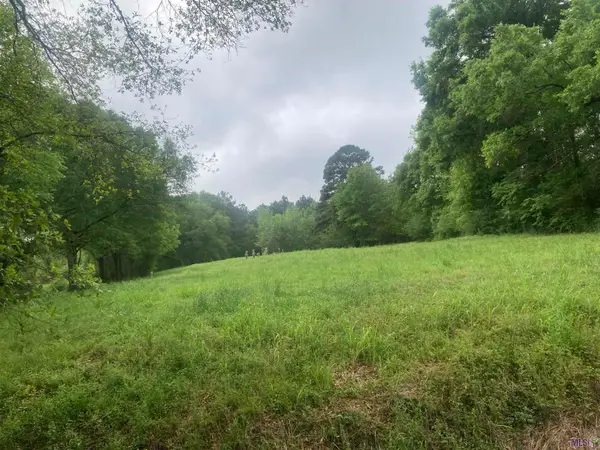 1218 Rodeo Dr, Denham Springs, LA 70726