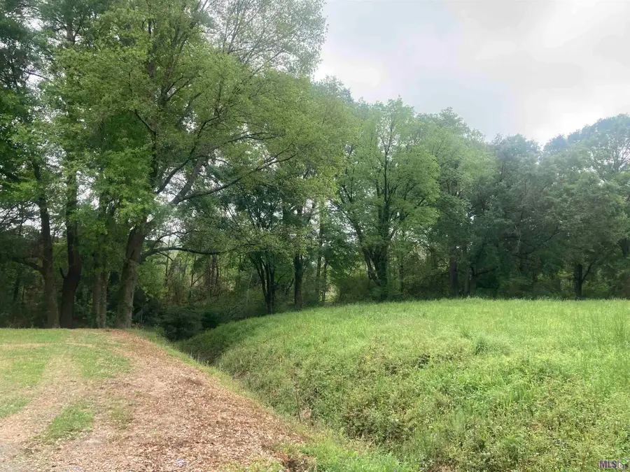 1218 Rodeo Dr, Denham Springs, LA 70726 - #2