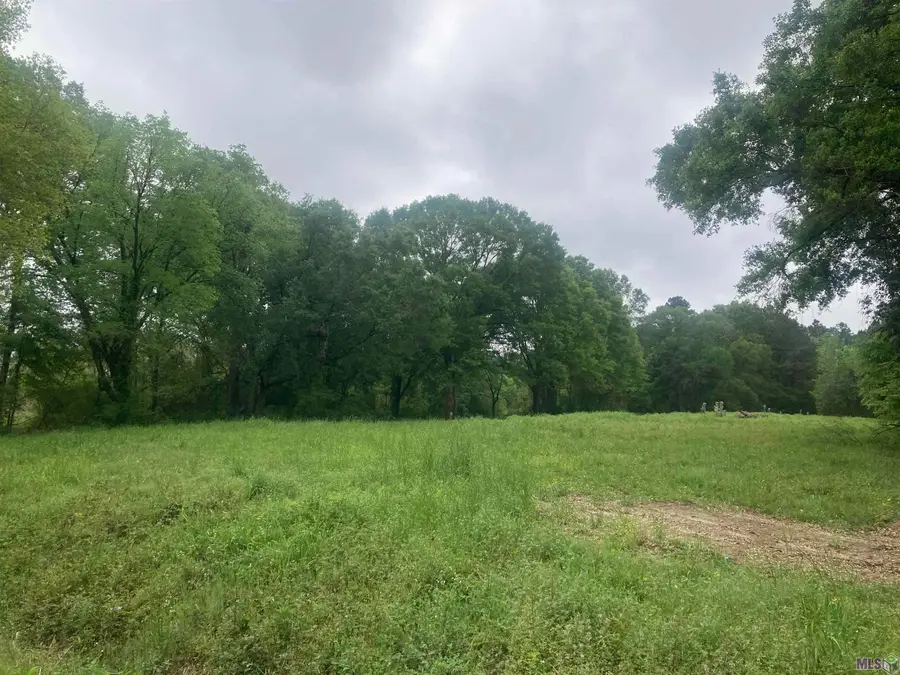 1218 Rodeo Dr, Denham Springs, LA 70726 - #3