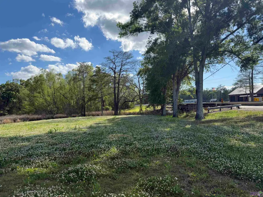 26045 La Hwy 77, Plaquemine, LA 70764 - #2