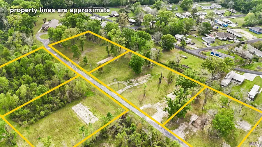 7061 Panama Manor Drive, Gonzales, LA 70737 - #3