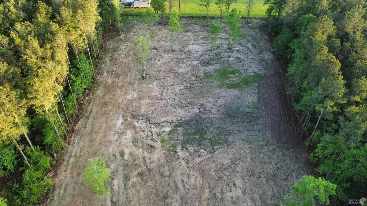 21154 Butterbean Ridge, Livingston, LA 70754 - #1