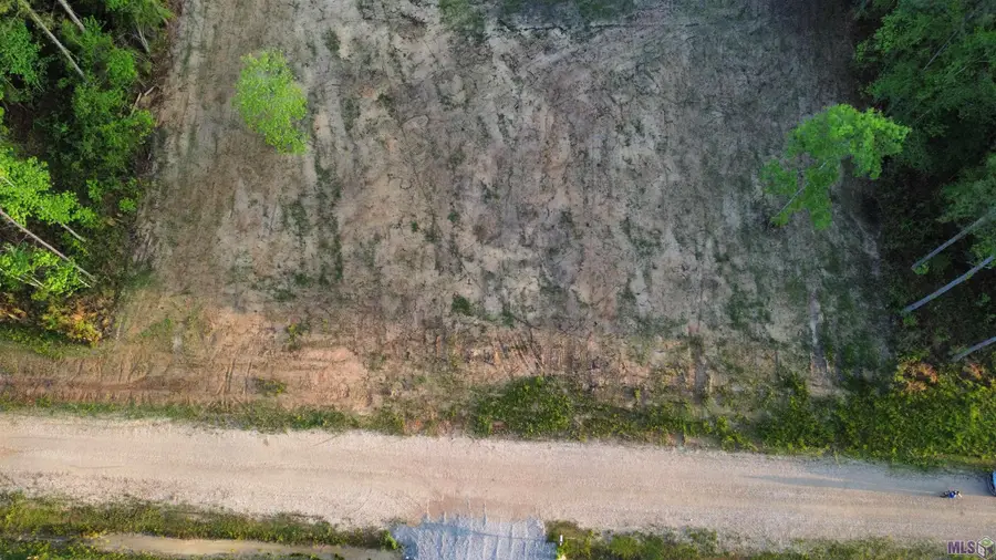 21154 Butterbean Ridge, Livingston, LA 70754 - #3