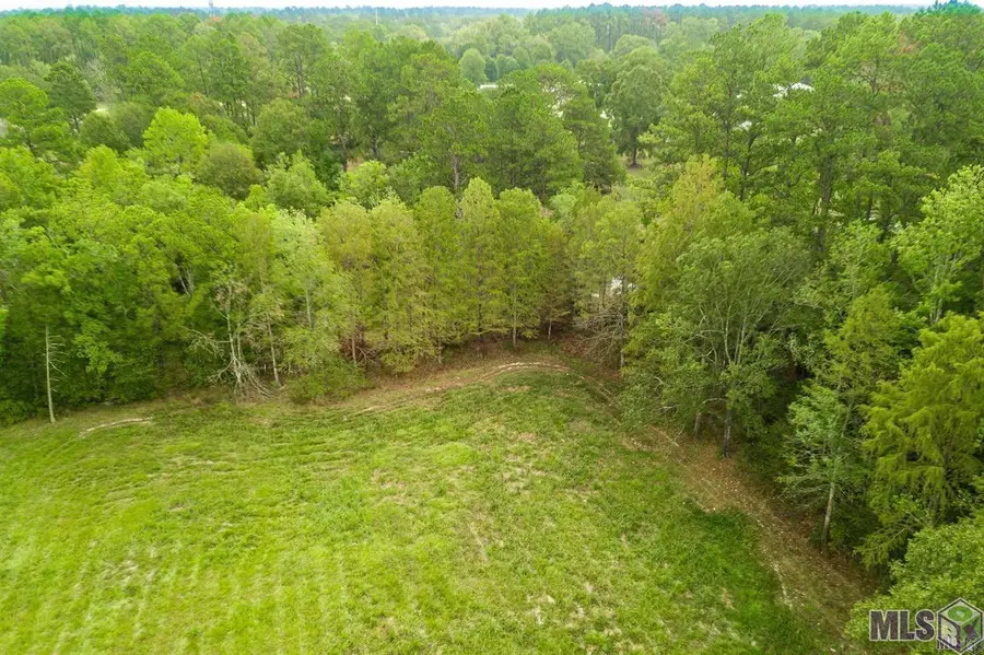 TBD S Anne Dr, Walker, LA 70785 - #2