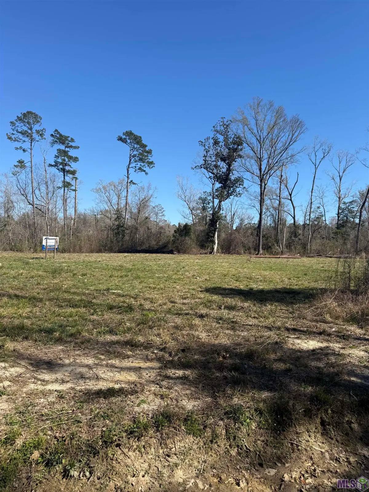 Lot 1 Music Ln, Springfield, LA 70462 - #1