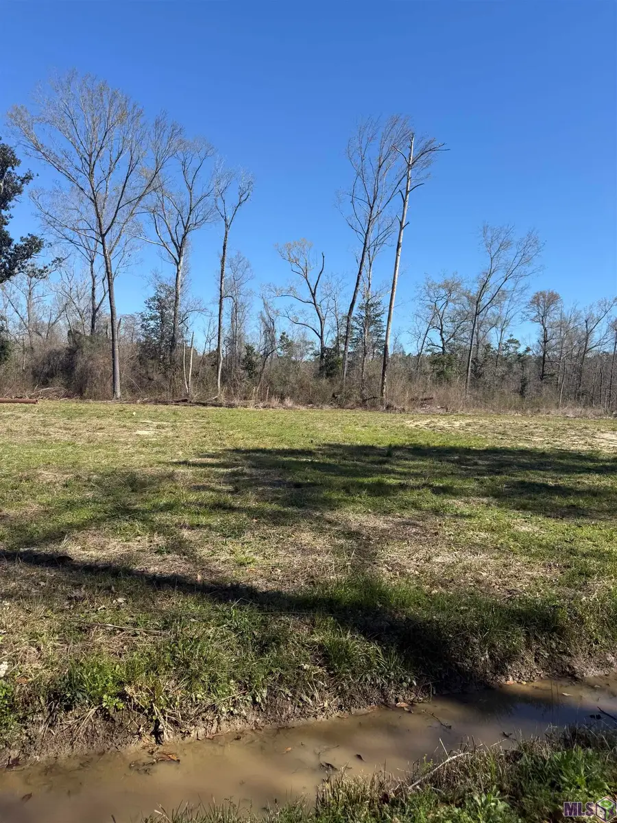 Lot 3 Music Ln, Springfield, LA 70462 - #2