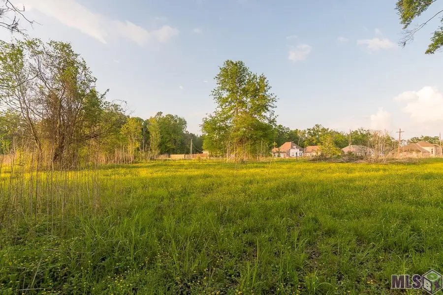 SR-2-B-2 Loosemore Rd, Gonzales, LA 70737 - #3