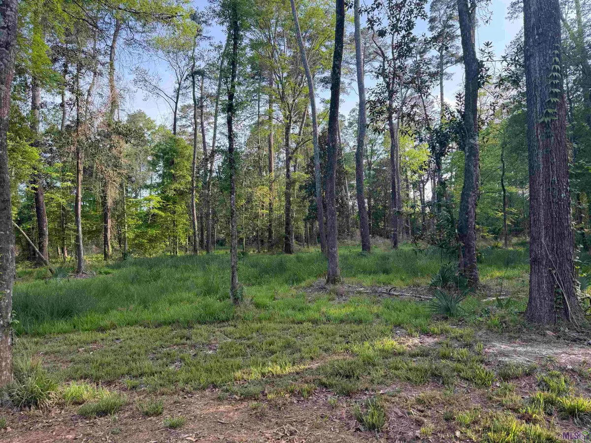 1-B-2-A-4 Clinton Allen Rd, Denham Springs, LA 70706 - #1