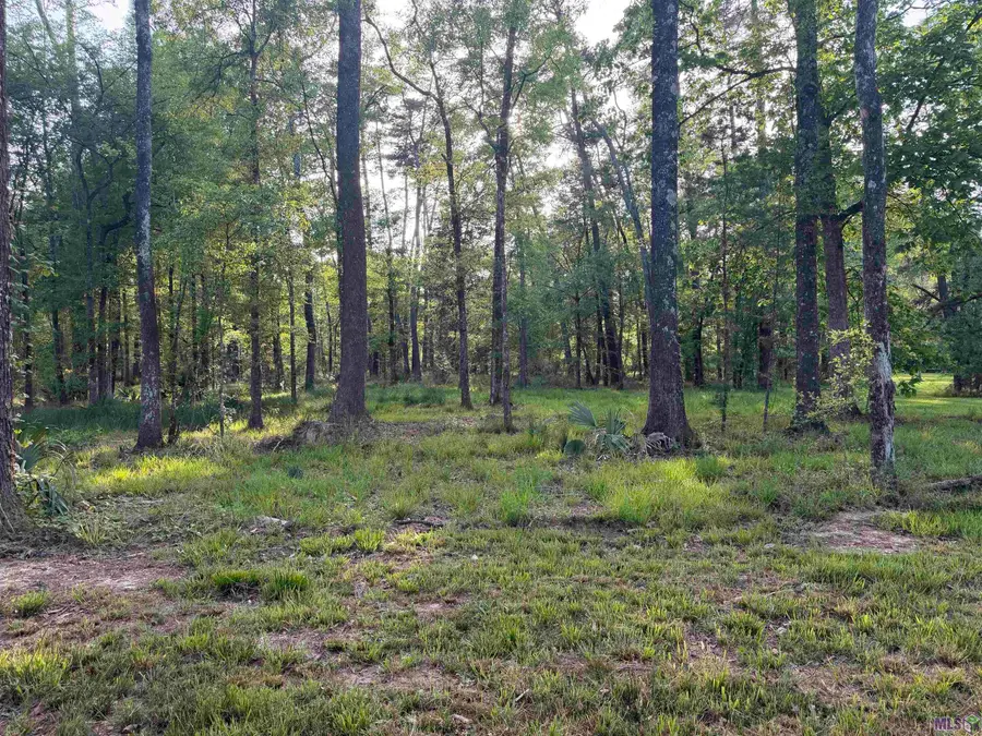 1-B-2-A-4 Clinton Allen Rd, Denham Springs, LA 70706 - #2