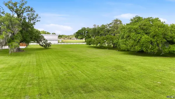 37480 Duplessis Rd, Prairieville, LA 70769