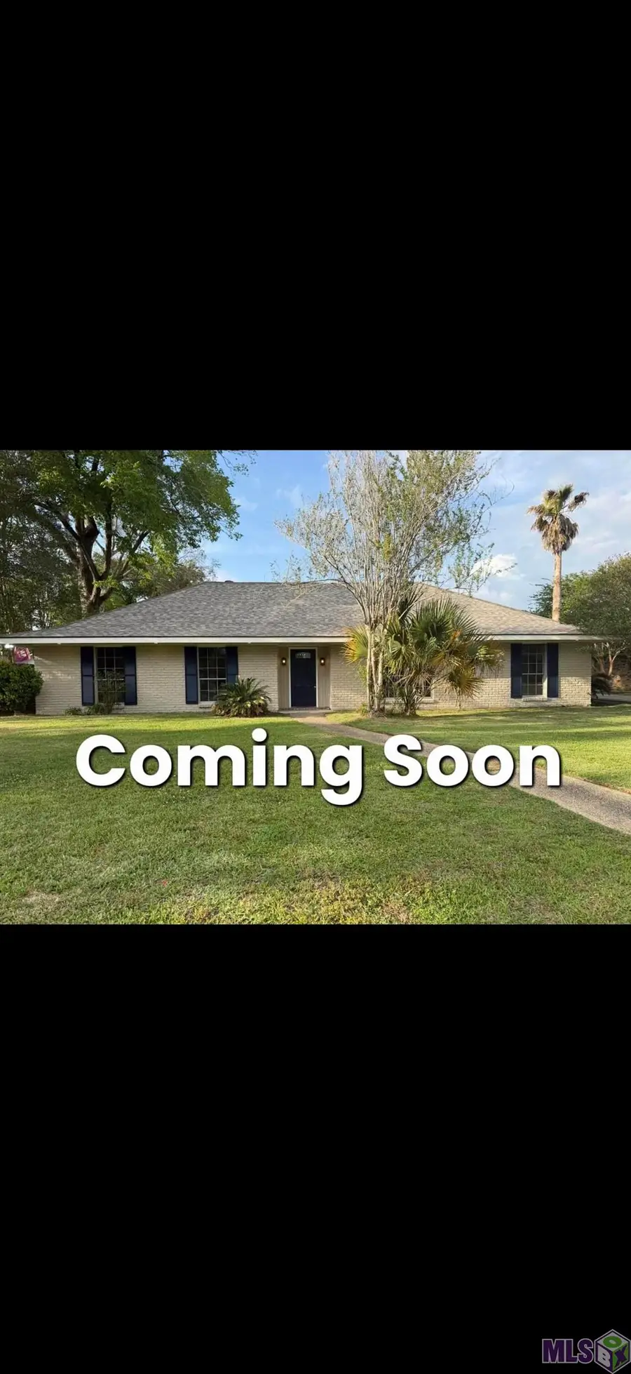 12231 Mollylea Dr, Baton Rouge, LA 70815 - #3