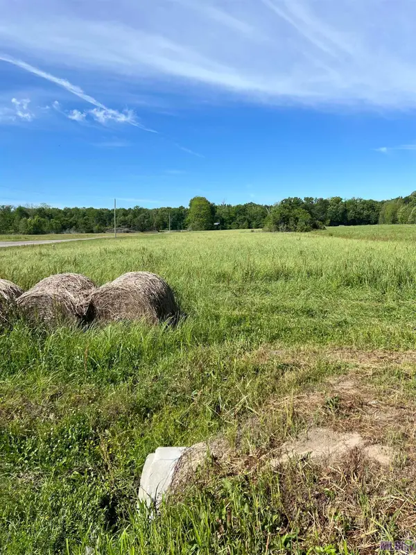 LOT D-17-E Hospital Rd, New Roads, LA 70760