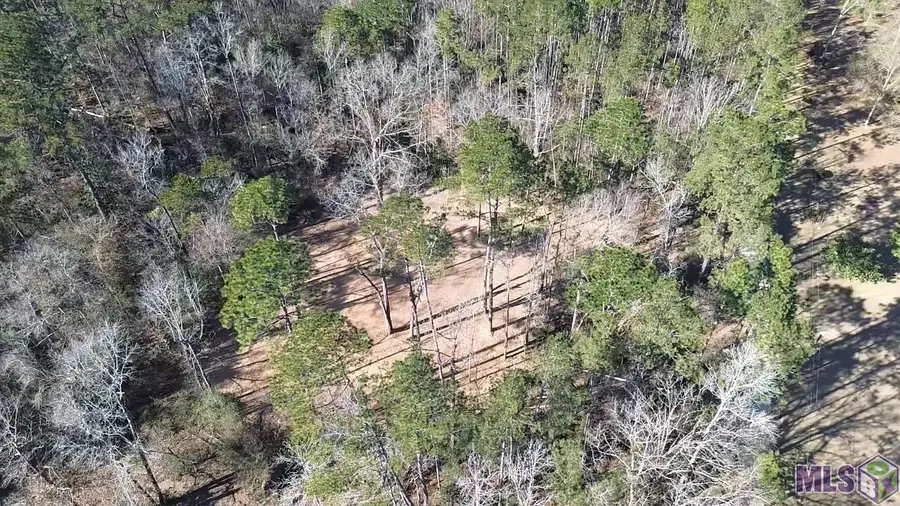 Tract A & B Mcclendon Ln, Amite, LA 70422 - #2