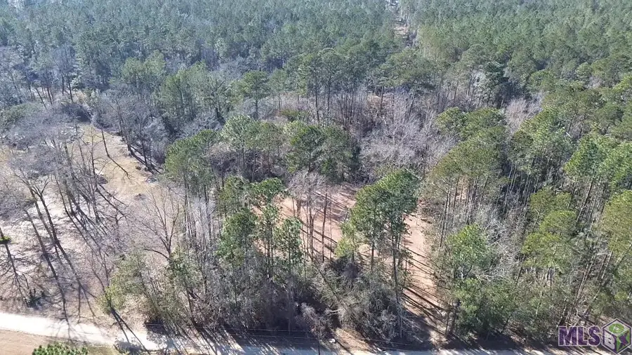 Tract A & B Mcclendon Ln, Amite, LA 70422 - #3