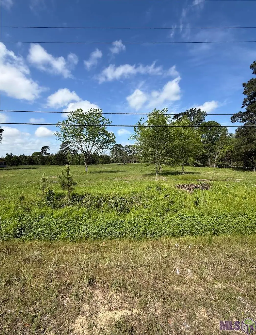 39051 Reinninger Rd, Denham Springs, LA 70706 - #1