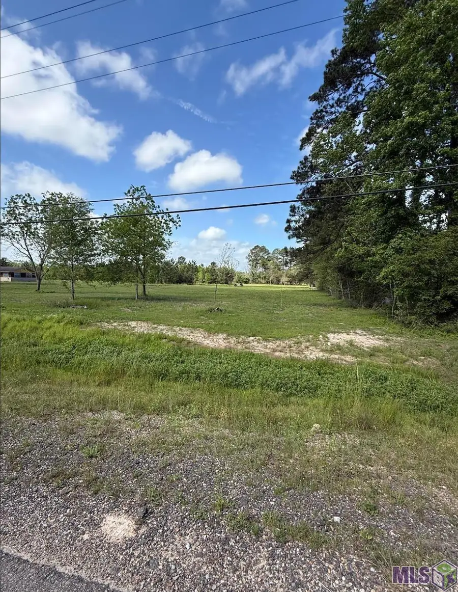 39051 Reinninger Rd, Denham Springs, LA 70706 - #2