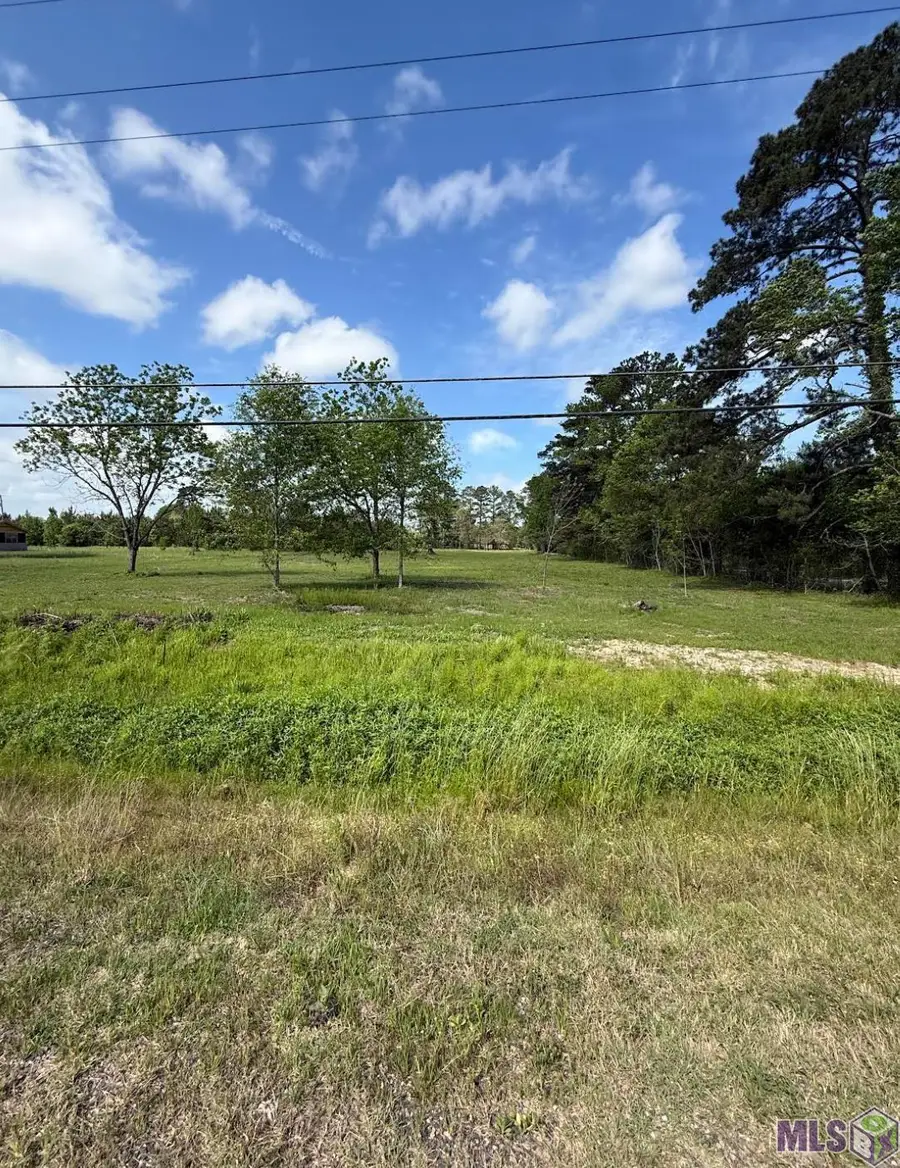 39051 Reinninger Rd, Denham Springs, LA 70706 - #3
