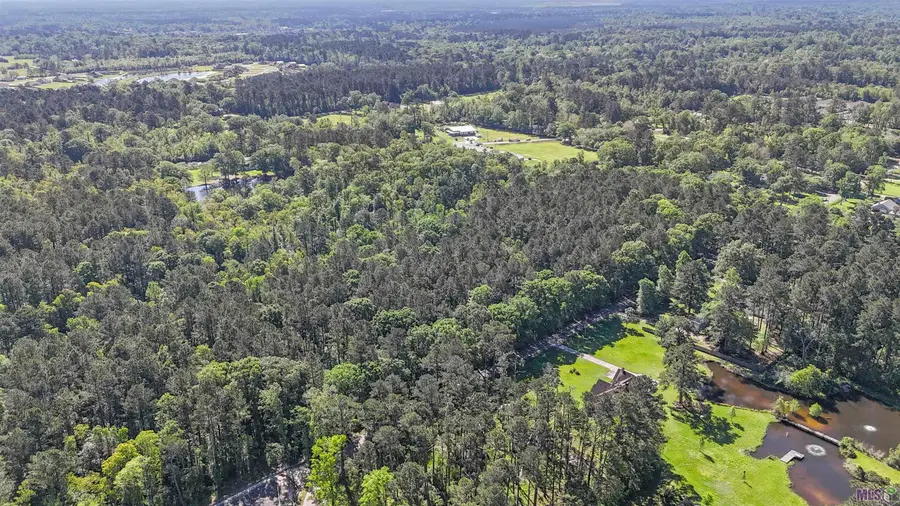 TBD Avants Rd, Walker, LA 70785 - #2