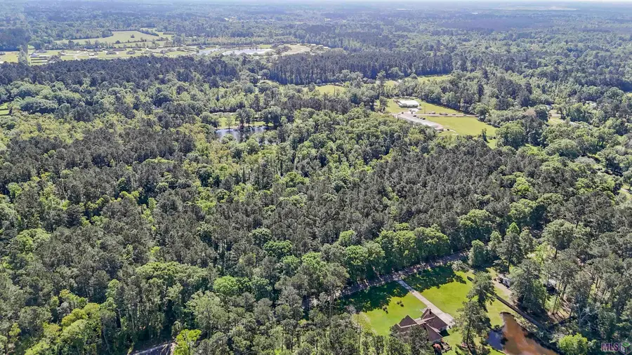 TBD Avants Rd, Walker, LA 70785 - #3