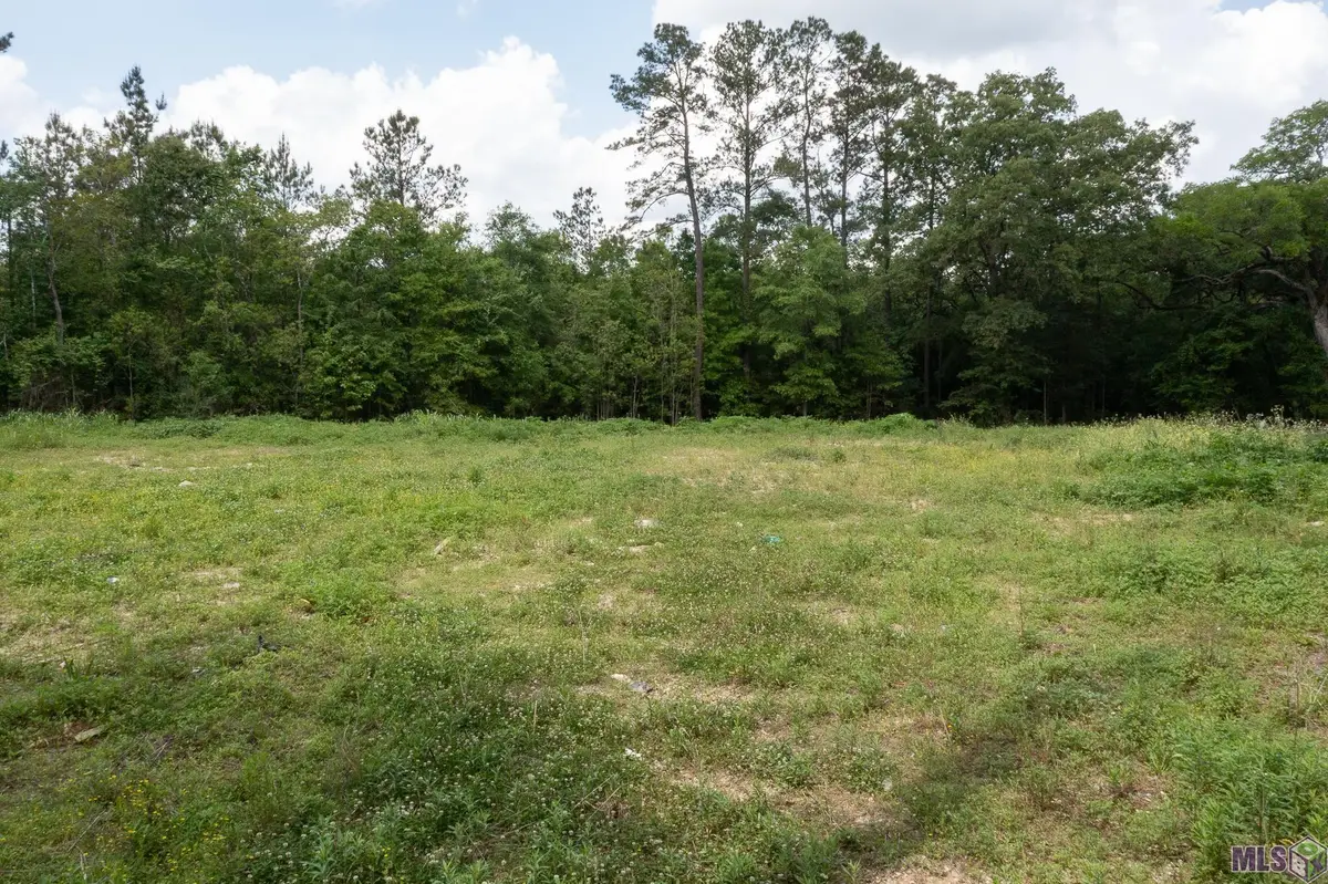 3a, 3b, & 4a Aydell Ln, French Settlement, LA 70733 - #1