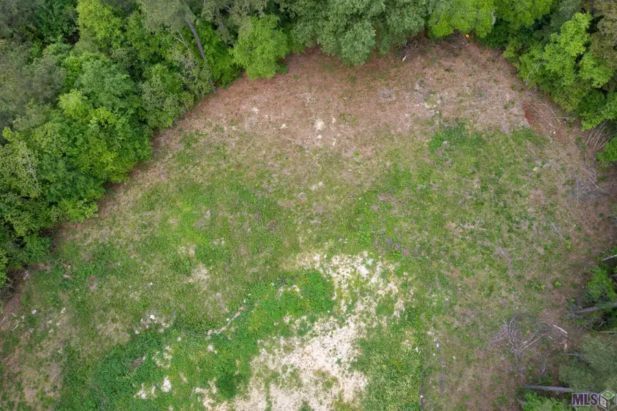 3a, 3b, & 4a Aydell Ln, French Settlement, LA 70733 - #2