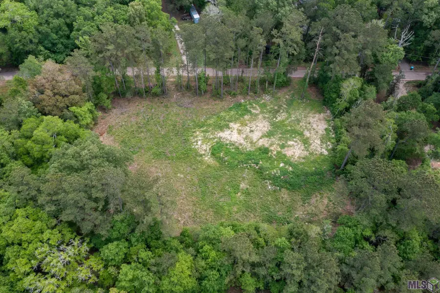 3a, 3b, & 4a Aydell Ln, French Settlement, LA 70733 - #3