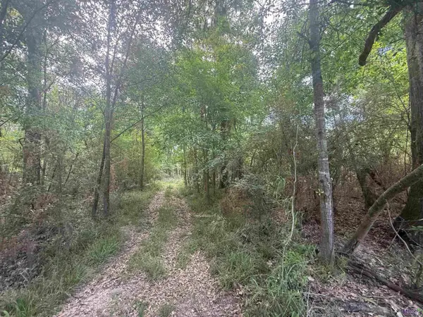 LOT-138 Amite River Rd, Baton Rouge, LA 70817
