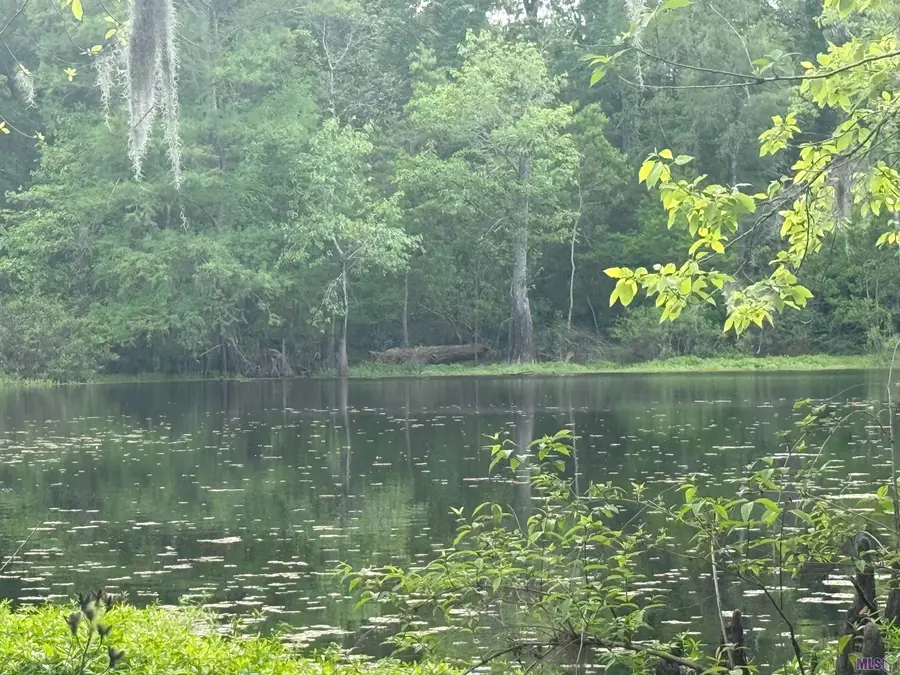 LOT-138 Amite River Rd, Baton Rouge, LA 70817 - #3