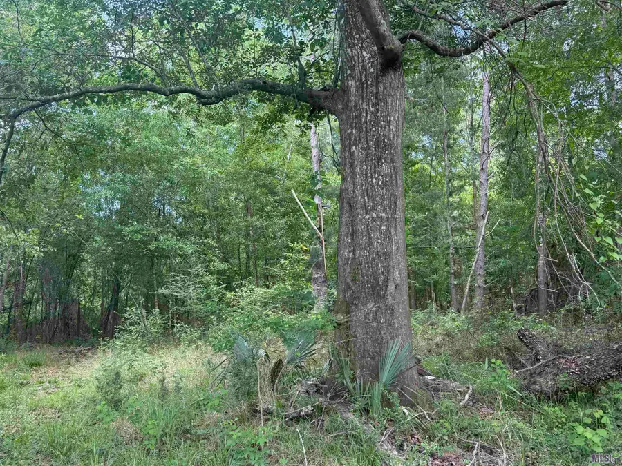 LOT-139 Amite River Rd, Baton Rouge, LA 70817 - #3