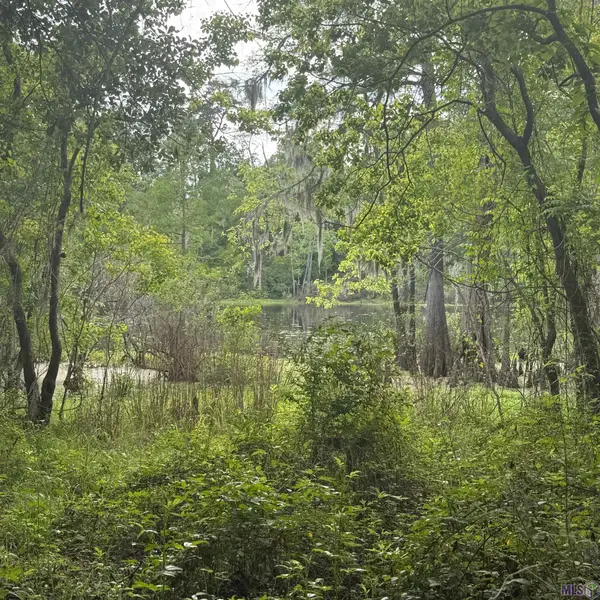 LOT-137 Amite River Rd, Baton Rouge, LA 70817